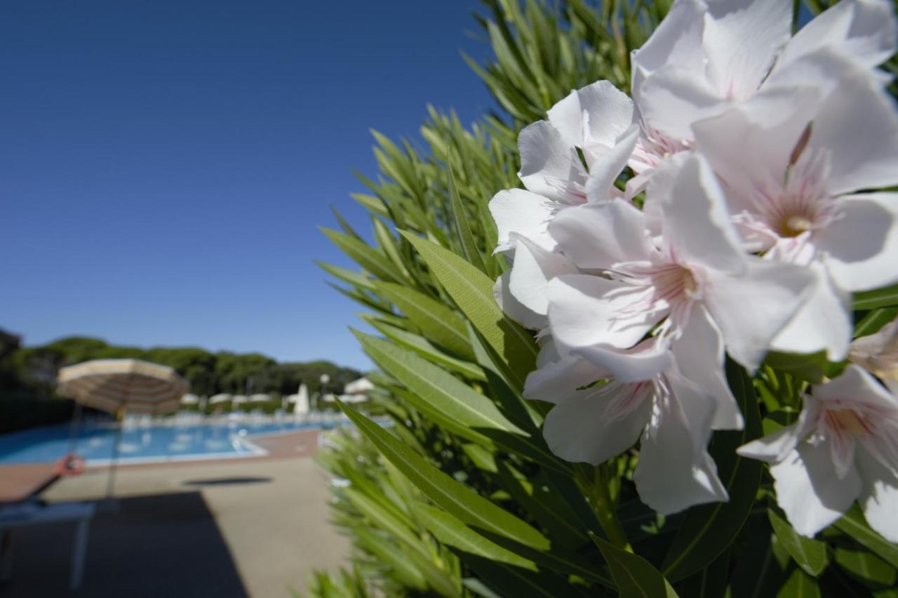 Le Residenze Di Santa Costanza - Mirto/Corbezzolo Aparthotel San Vincenzo Eksteriør bilde